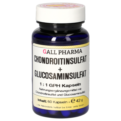 CHONDROITINSULFAT+Glusosaminsulfat 1:1 GPH Kapseln