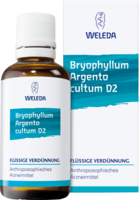 BRYOPHYLLUM ARGENTO cultum D 2 Dilution