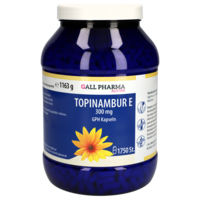 TOPINAMBUR E 300 mg GPH Kapseln