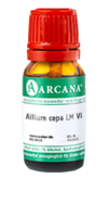 ALLIUM CEPA LM 6 Dilution