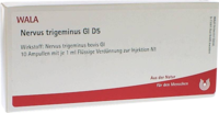 NERVUS TRIGEMINUS GL D 5 Ampullen