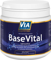 VIAVITAMINE BaseVital Pulver