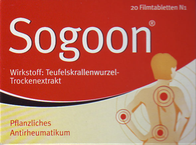 SOGOON 480 mg Filmtabletten