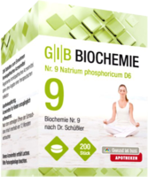 GIB Biochemie Nr.9 Natrium phosphoric.D 6 Tabl.