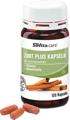 SOVITA CARE Zimt Plus Kapseln