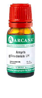 AMYRIS gileadensis LM 1 Dilution