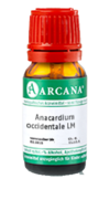 ANACARDIUM OCCIDENTALE LM 12 Dilution