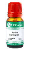 ANDIRA inermis LM 23 Dilution